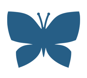 icon_transformation