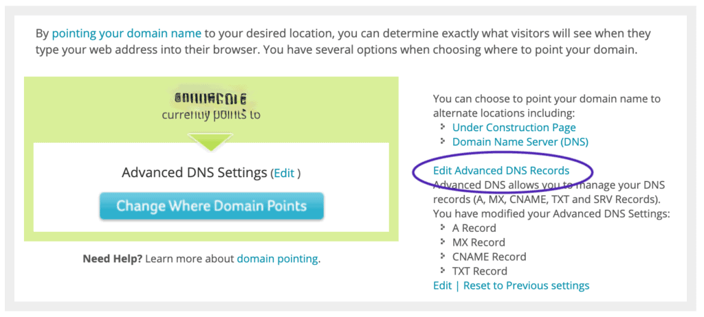 Edit Advanced DNS Records