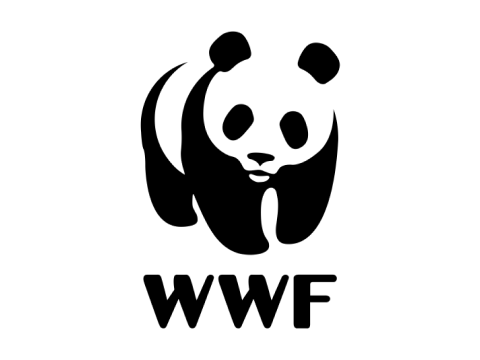 WWF WWF
