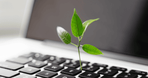 a digital garden