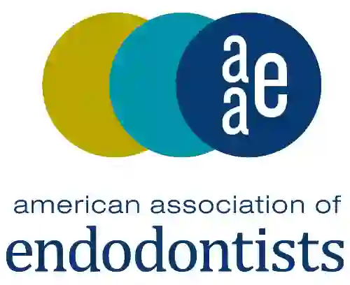 Custom endodontic dental office sign with Yoko Co branding and logo design.